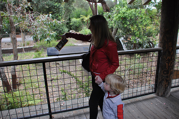 2014-06-12 Trip to the Zoo 098
