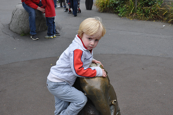 2014-06-12 Trip to the Zoo 276