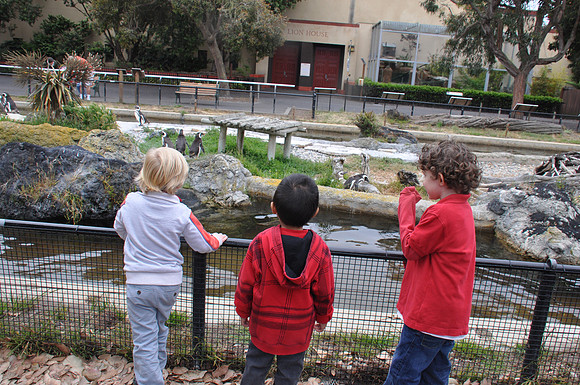 2014-06-12 Trip to the Zoo 253