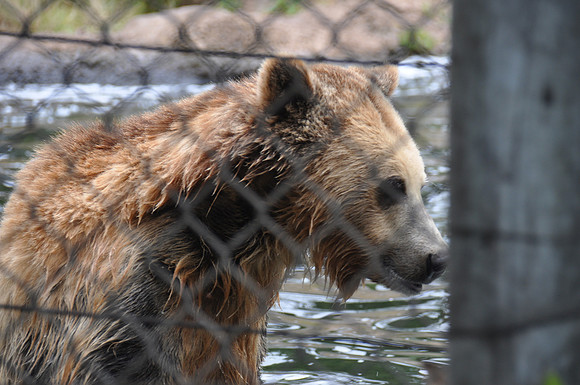 2014-06-12 Trip to the Zoo 167