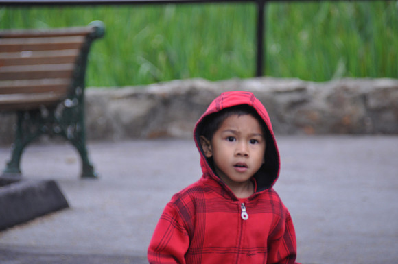 2014-06-12 Trip to the Zoo 127