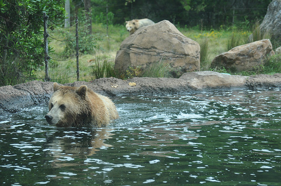 2014-06-12 Trip to the Zoo 184