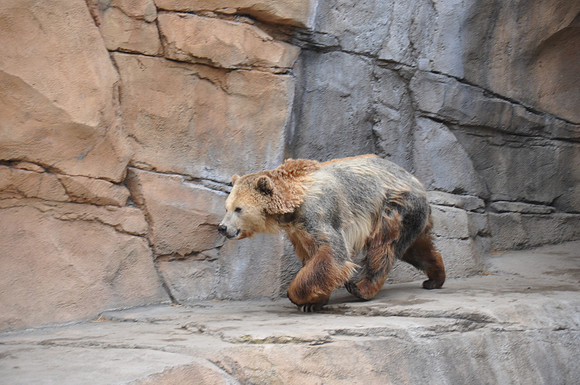 2014-06-12 Trip to the Zoo 156