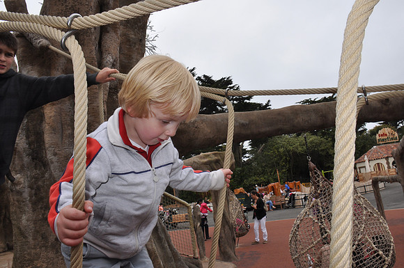 2014-06-12 Trip to the Zoo 368