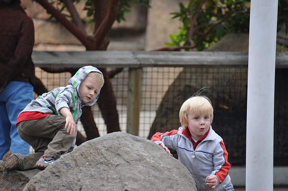 2014-06-12 Trip to the Zoo 165