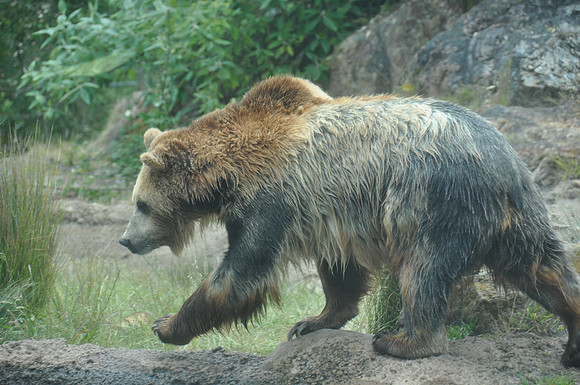 2014-06-12 Trip to the Zoo 178