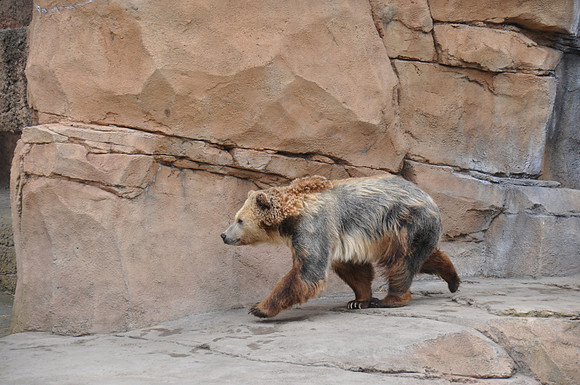 2014-06-12 Trip to the Zoo 157