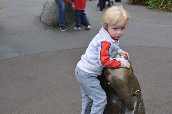 2014-06-12 Trip to the Zoo 275