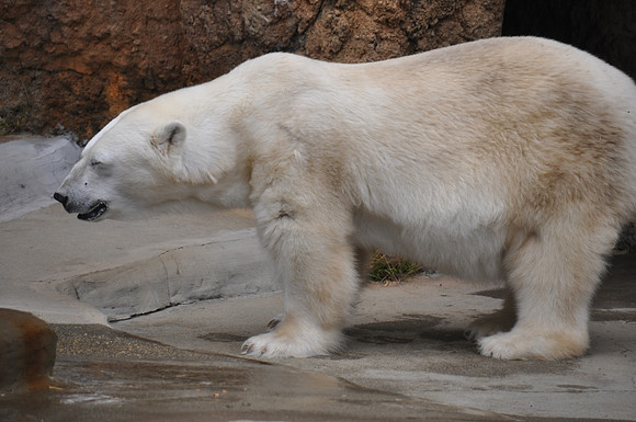 2014-06-12 Trip to the Zoo 144
