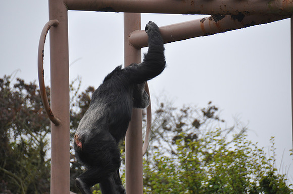 2014-06-12 Trip to the Zoo 090