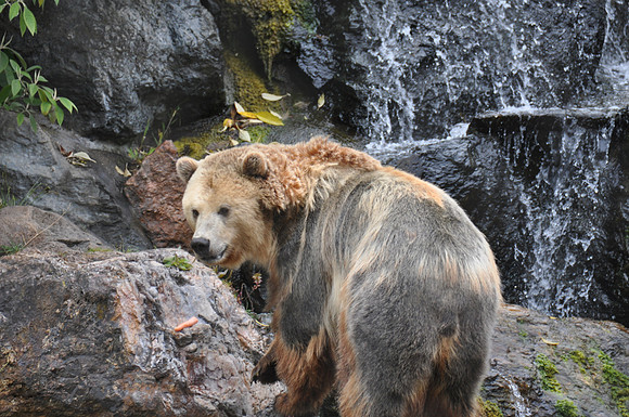 2014-06-12 Trip to the Zoo 170