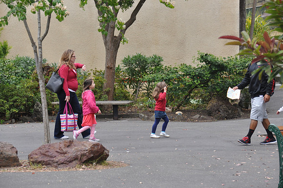 2014-06-12 Trip to the Zoo 258