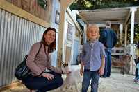 2014-10-13 Pumpkin Patch 151