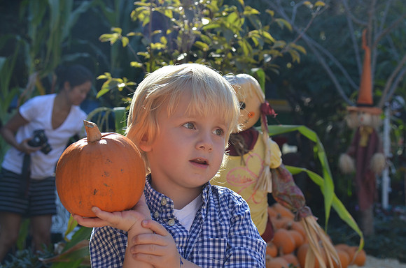 2014-10-13 Pumpkin Patch 242