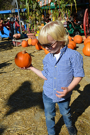 2014-10-13 Pumpkin Patch 349