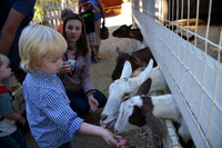 2014-10-13 Pumpkin Patch 126
