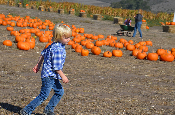 2014-10-13 Pumpkin Patch 428