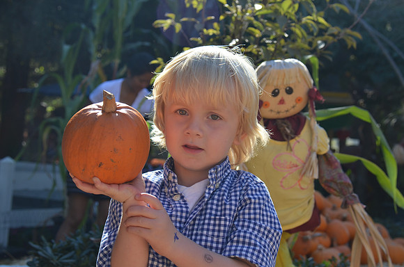 2014-10-13 Pumpkin Patch 244