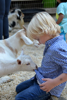 2014-10-13 Pumpkin Patch 173