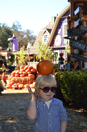 2014-10-13 Pumpkin Patch 379