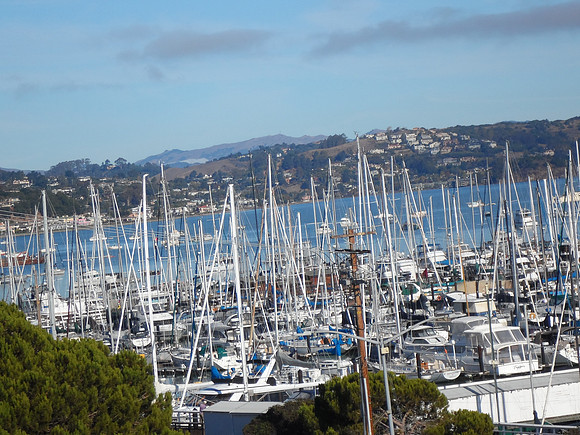 2014-10-09 09-52-25 Birthday in Sausalito 146
