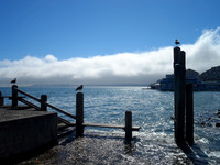 2014-10-09 11-56-57 Birthday in Sausalito 226