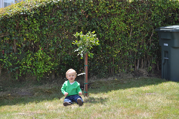 2011-05-07 First Birthday 131