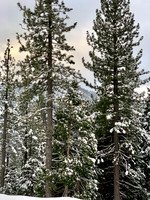 2019-12-25 Christmas Day at Squaw Valley 0019