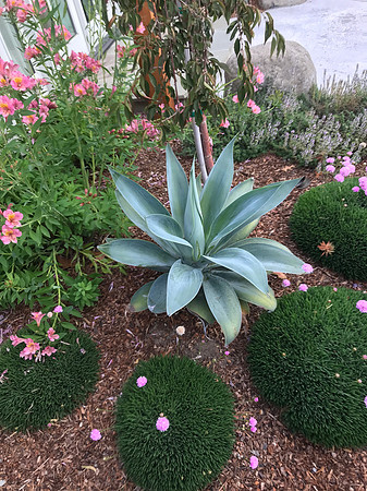 2018-10-21 Victoria in Santa Cruz (Girls' Weekend) 232