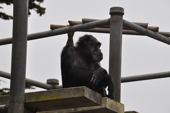 2014-06-12 Trip to the Zoo 084