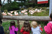 2014-06-12 Trip to the Zoo 057
