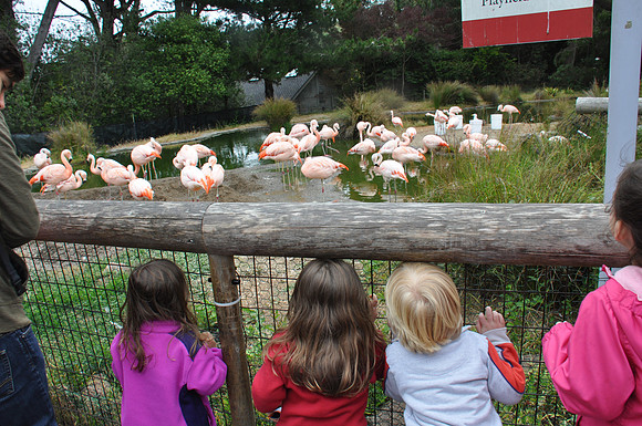 2014-06-12 Trip to the Zoo 057