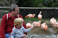 2014-06-12 Trip to the Zoo 082