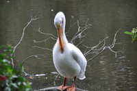 2014-06-12 Trip to the Zoo 125