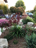 2018-10-20 Victoria in Santa Cruz (Girls' Weekend) 056