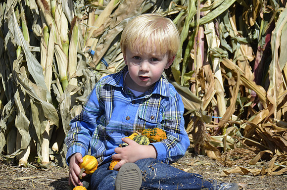 2013-10-12 Pumpkin Patch 396