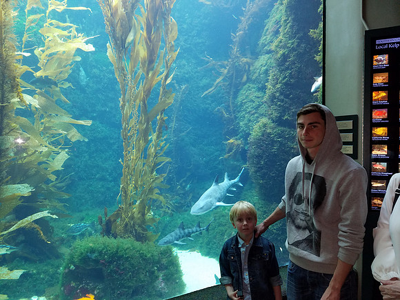 2016-05-16 Birch Aquarium at Scripps 106