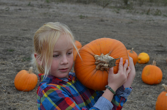 2018-10-21 Pumpkin Patch 080