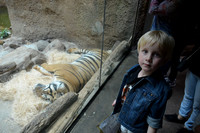 2016-05-15 San Diego Zoo 0287