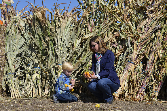 2013-10-12 Pumpkin Patch 373