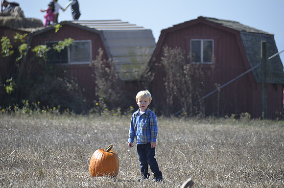 2013-10-12 Pumpkin Patch 167