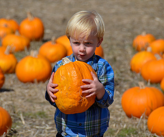 2013-10-12 Pumpkin Patch 186