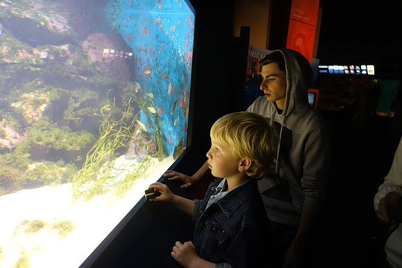 2016-05-16 Birch Aquarium at Scripps 041