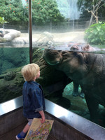 2016-05-15 San Diego Zoo 0247