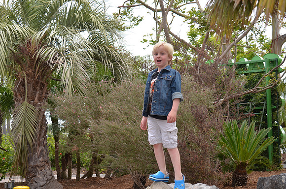 2016-05-15 San Diego Zoo 0030