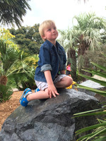 2016-05-15 San Diego Zoo 0025