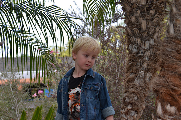2016-05-15 San Diego Zoo 0046
