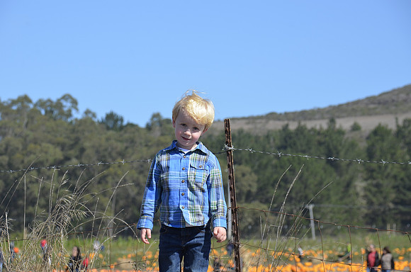 2013-10-12 Pumpkin Patch 311