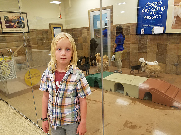 2018-07-24 At the Pet Store 3