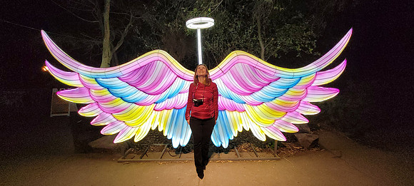 2021-02-24 Oakland Zoo Glowfari 577